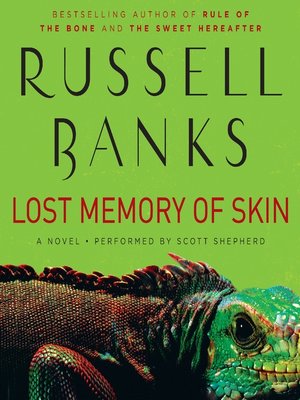 Lost Memory of Skin - Audiobook